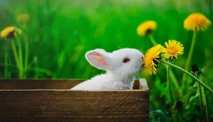 九游官网入口-《电竞持续升温：城市体育公共设施加入电竞元素》，电竞纳入体育项目